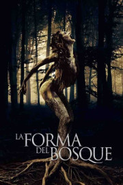 La Forma Del Bosque