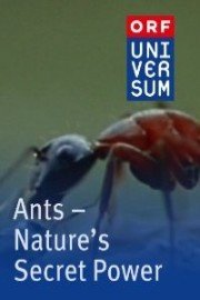 Ants: Natures Secret Power