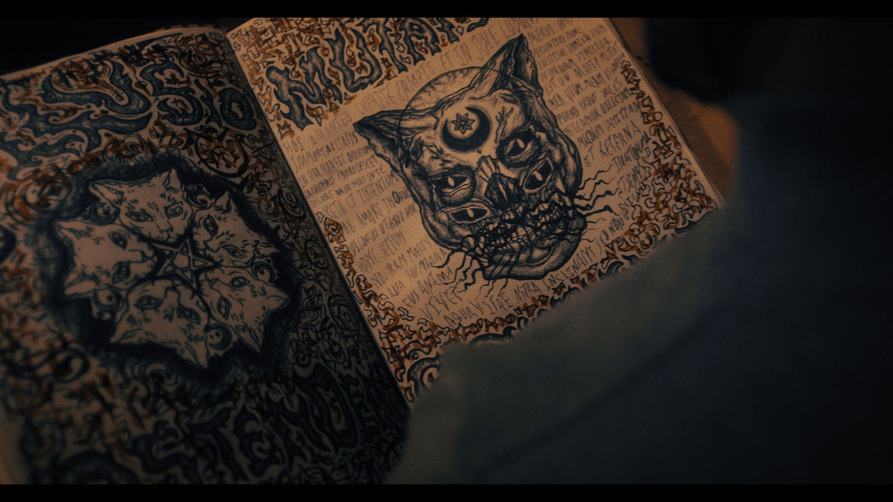 Don't Let the Cat Out