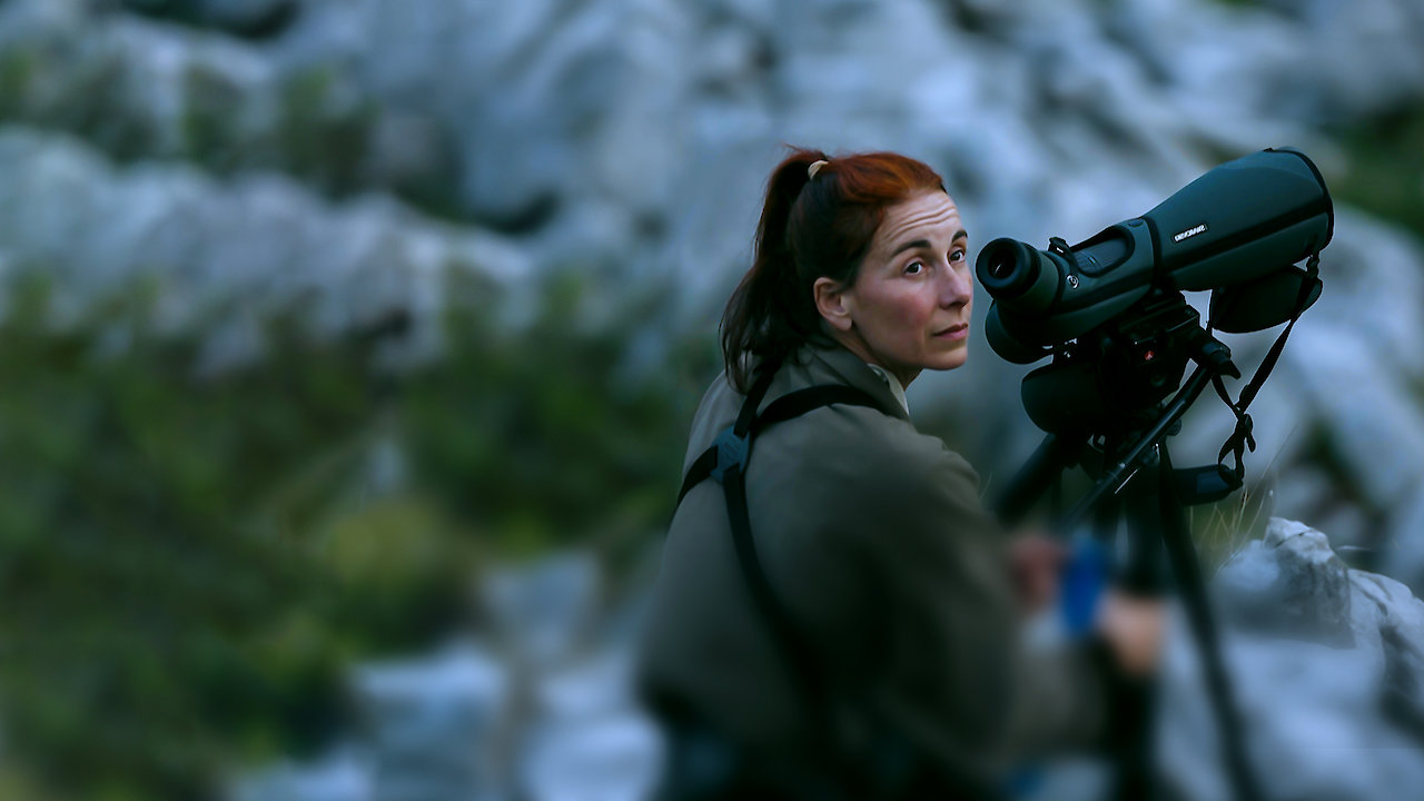 OSO, WILD VISIONS FROM ASTURIAS