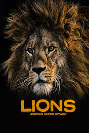 Lions: Africa's Super Power