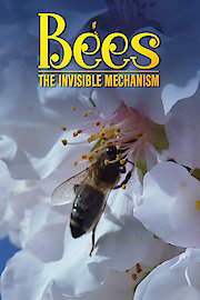 BEES THE INVISIBLE MECHANISM