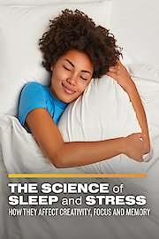 The Science of Sleep and Stress: How they Affect Creativity, Focus and Memory