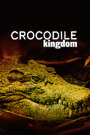 Crocodile Kingdom