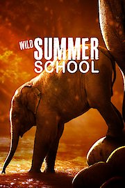 Wild Summer School