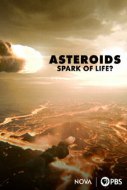 Asteroids: Spark of Life?
