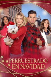 Perruestrado en Navidad