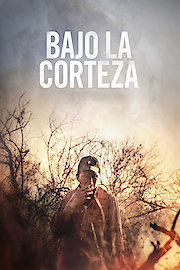 Bajo La Corteza