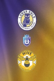 Lunar Owls vs. Hive