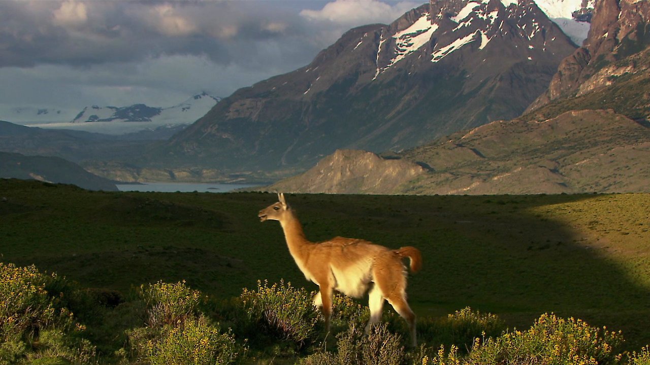 Bucket List South America