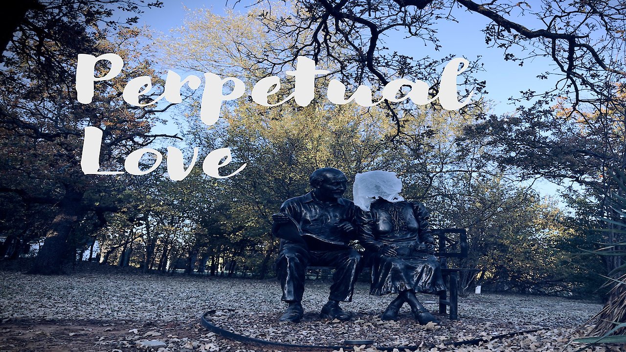 Perpetual Love