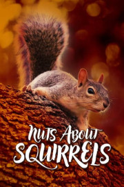 Nuts About Squirrels