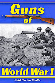 Guns of World War I