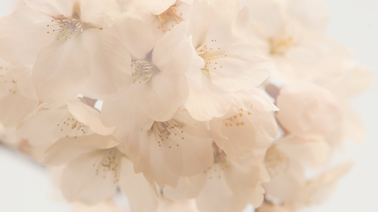 Changed Forever: Grieving The Death of Someone You Love