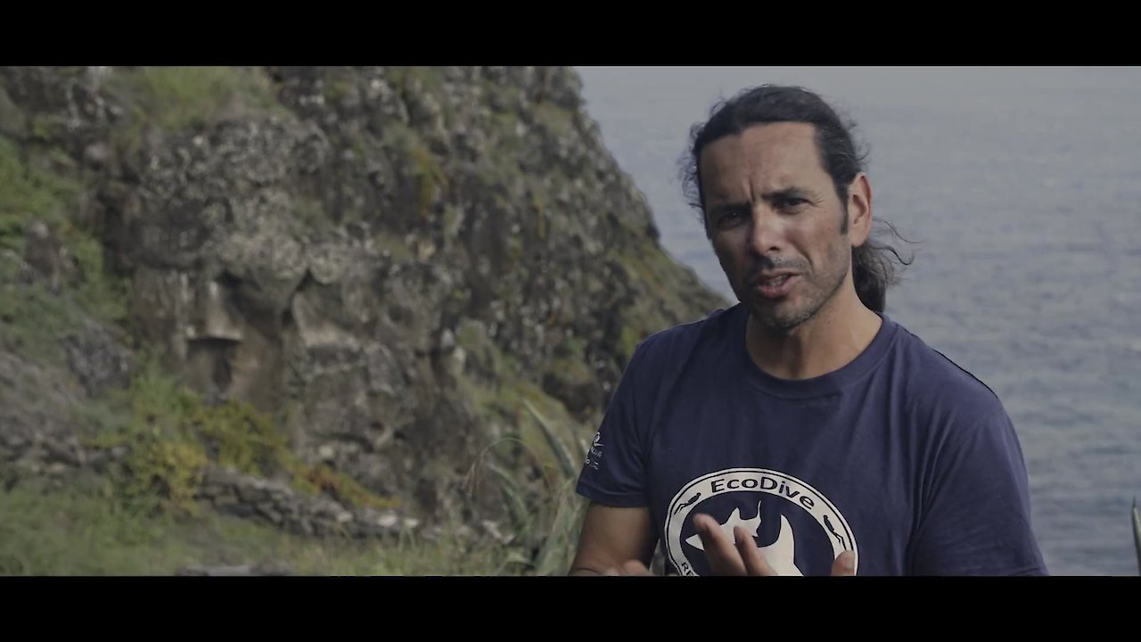 The Island of Giants