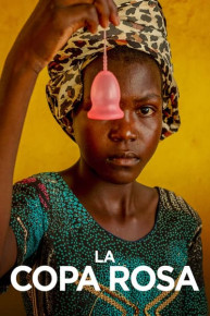 Pet Shop Boys - Live at Roskilde 2009