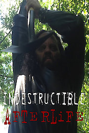 Indestructible: Afterlife