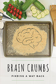 Brain Crumbs - Finding a Way Back