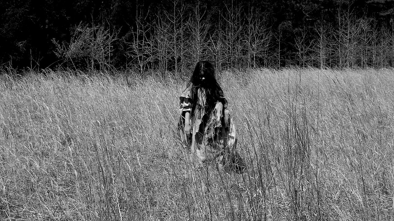 Spirits of the Pines