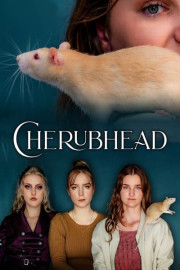 Cherubhead