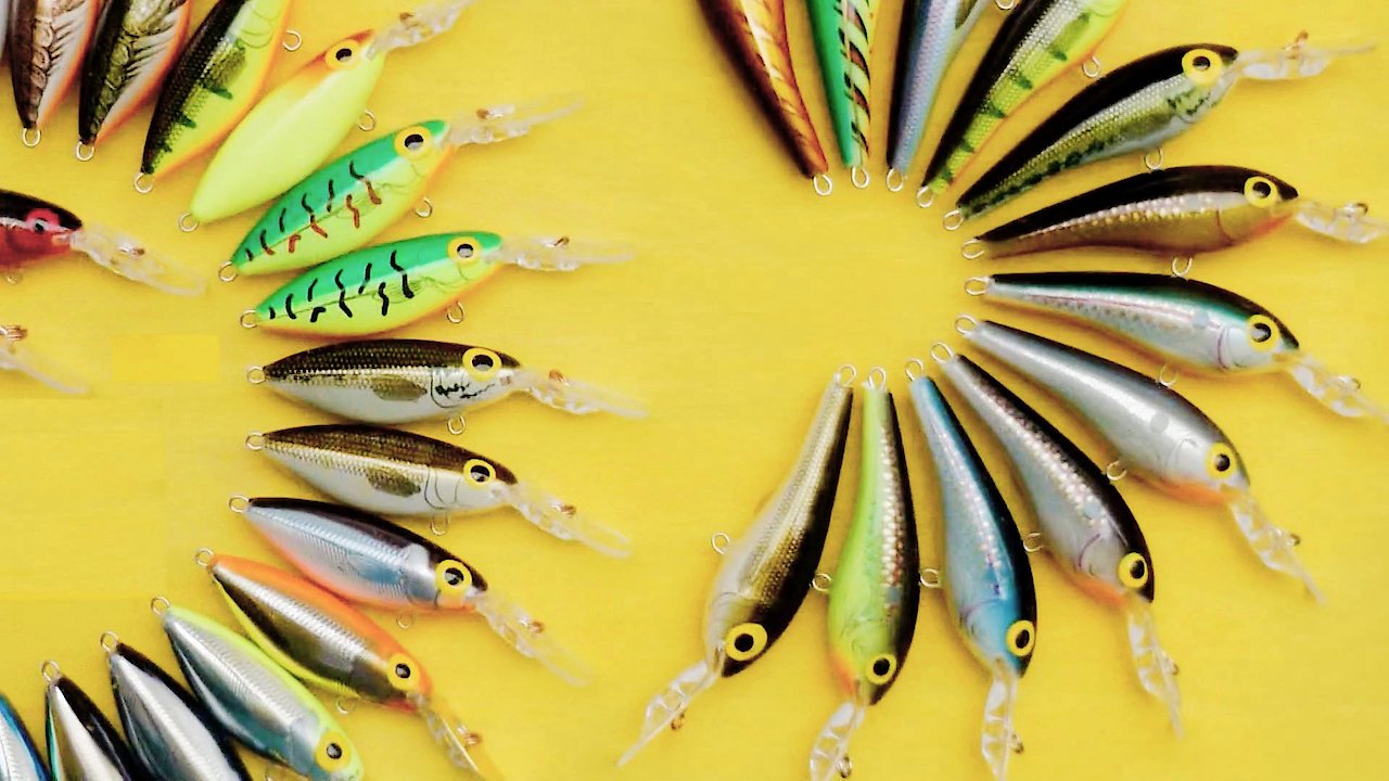 Fishing as a Beginner