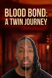 Blood Bond: A Twin Journey