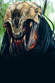 Predator Origins