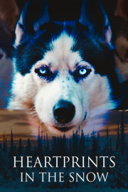 Heartprints in the Snow