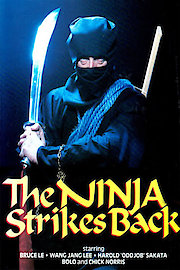 The Ninja Strikes Back
