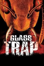 Glass Trap