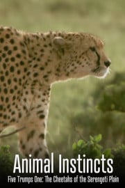 In the King of Prussia