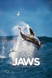 Air Jaws: Night Stalker