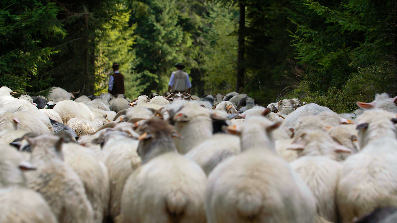 The Gorals: Highlanders of Carpathia