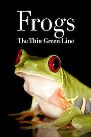 Frogs: The Thin Green Line