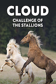 Cloud: Challenge of the Stallions