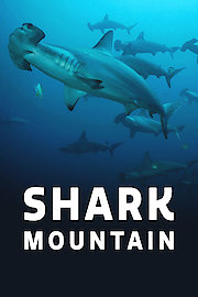 Shark Mountain
