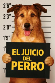 El juicio del perro