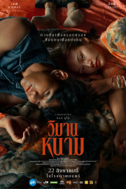 Hollywood's Magical Island: Catalina