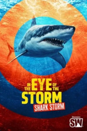 In the Eye of the Storm: Shark Storm
