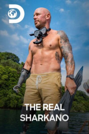 SW24: The Real Sharkano