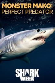 Monster Mako: Perfect Predator