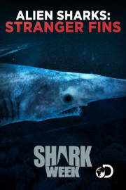 Alien Sharks: Greatest Hits