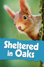 Sheltered in Oaks
