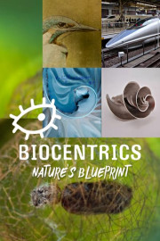 Biocentrics: Nature's Blueprint