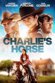 Charlie's Horse