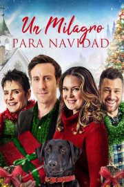 Un milagro para Navidad