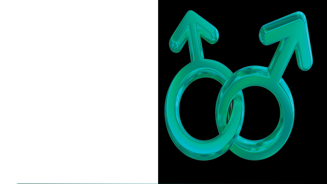 David Susskind Archive: Gay Rights Pro And Con