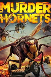 Murder Hornets