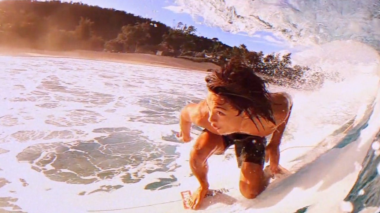 Whistle of Wilderness