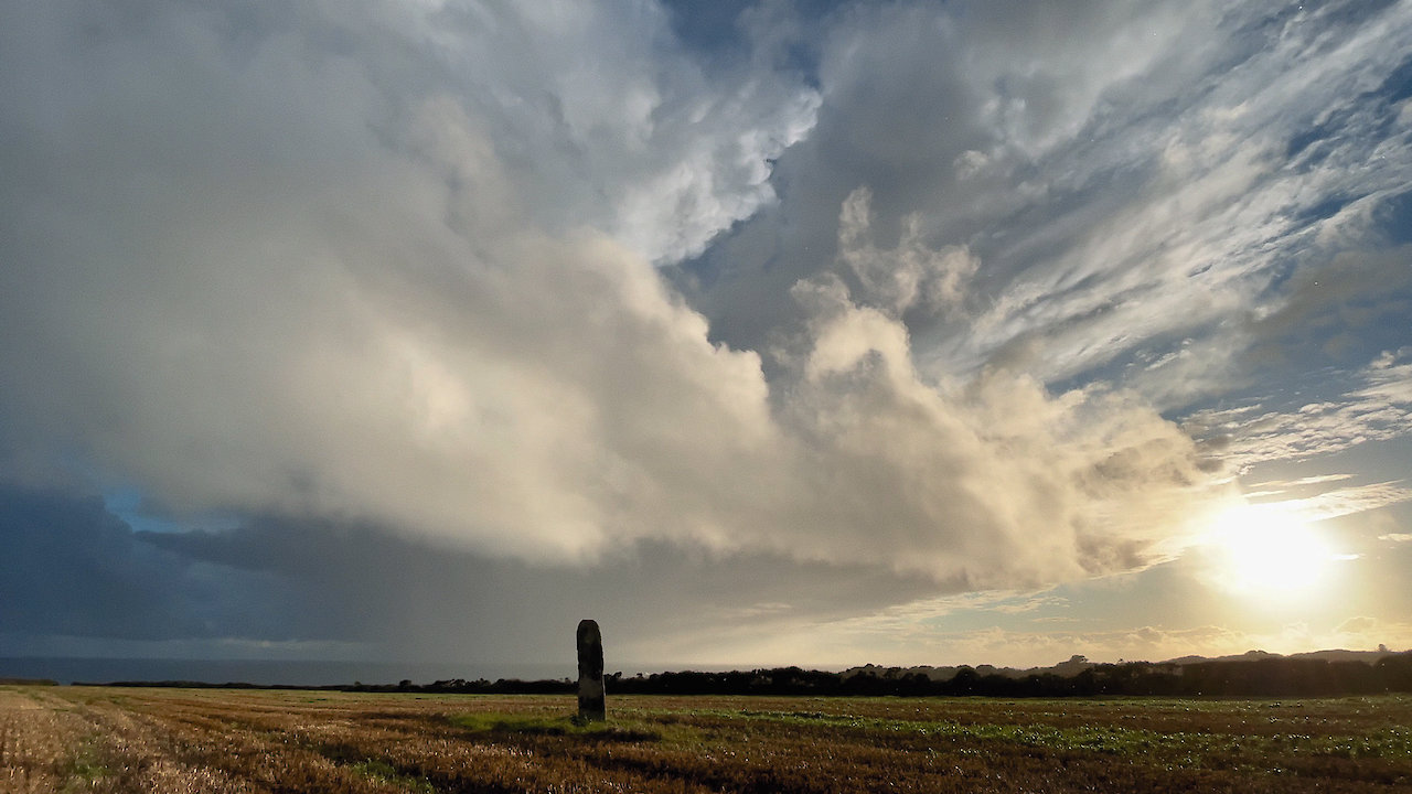 A Year In A Field